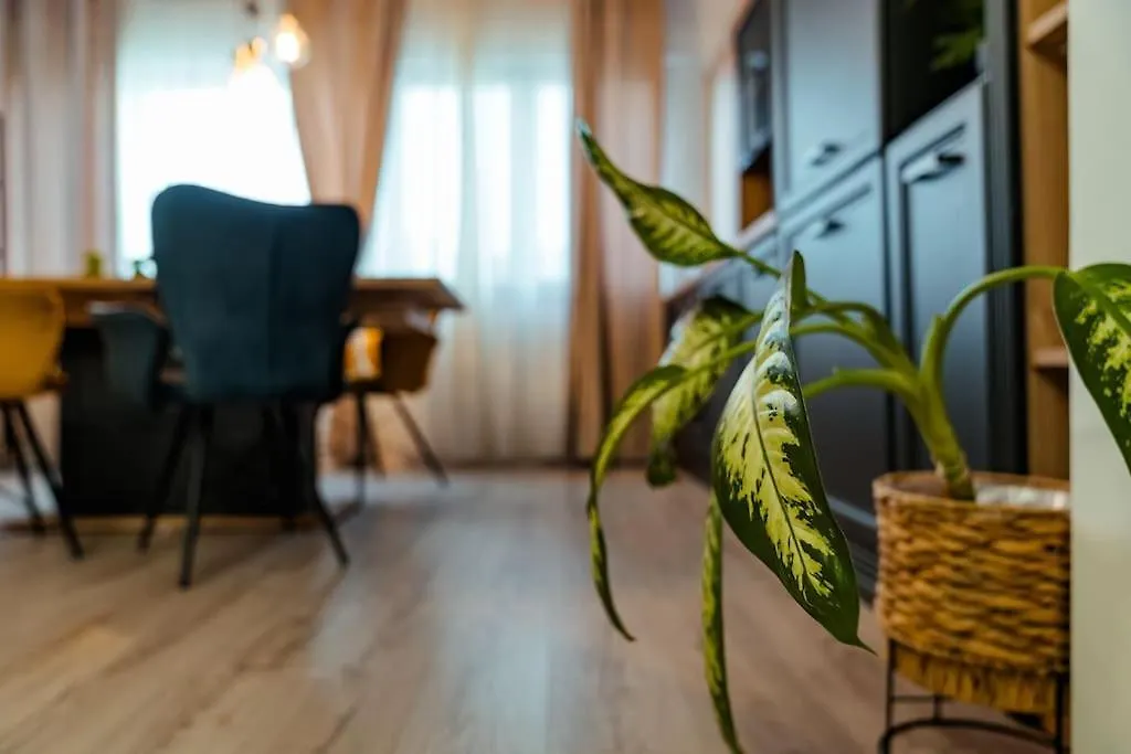 Blvd Ivory Pipera Ap 60A Apartment Voluntari Romania